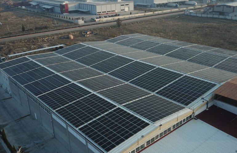 Yapraklar Denizli powersolar com tr